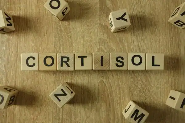 The Hidden Connection: How Stress Shapes Your Fitness and Body Composition 2 Image saying "Cortisol" and how stress Buckinghamshire impacts your wellbeing and bodies shape